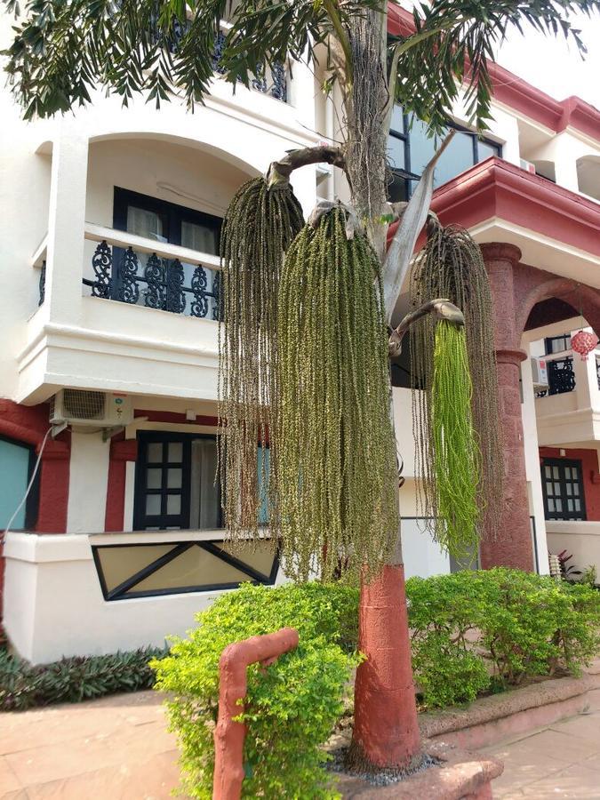 Ocean Waves Sun Baga Exterior photo